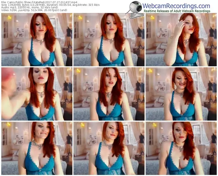 cams-katered-webcam-show-07_27_2017-01_14_37