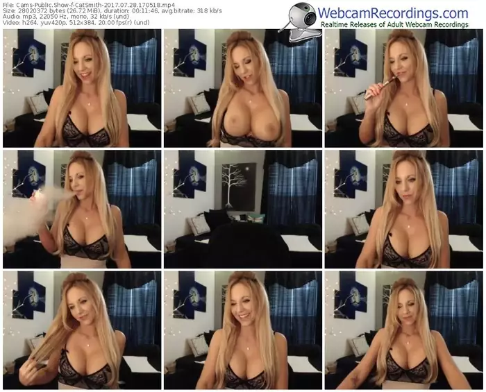 cams-catsmith-webcam-show-07_28_2017-17_05_18