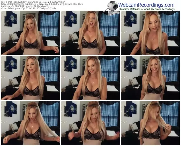 cams-catsmith-webcam-show-07_28_2017-20_20_20