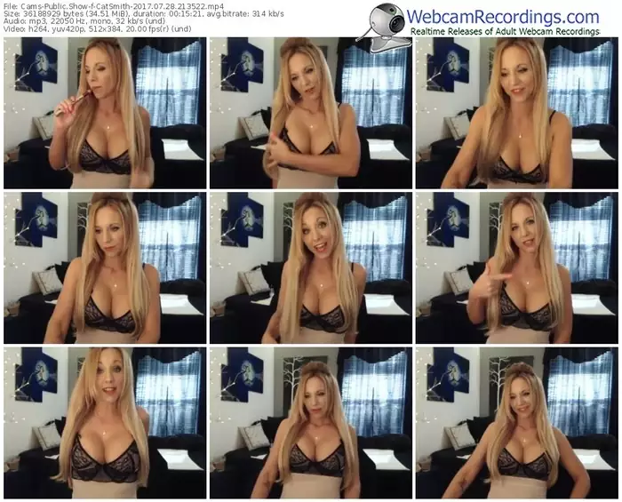 cams-catsmith-webcam-show-07_28_2017-21_35_22