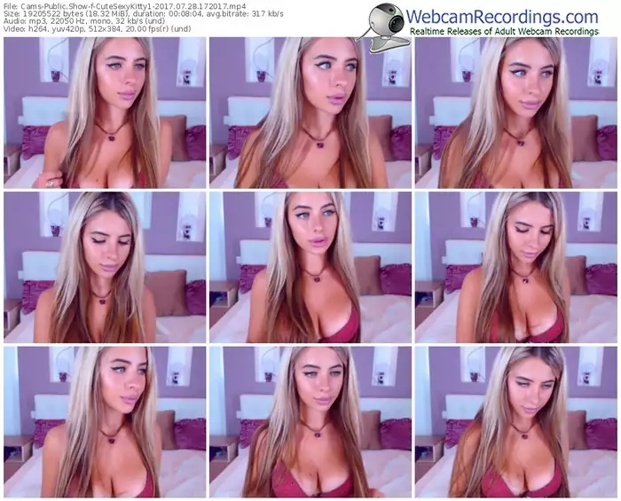 cams-cutesexykitty1-webcam-show-07_28_2017-17_20_17
