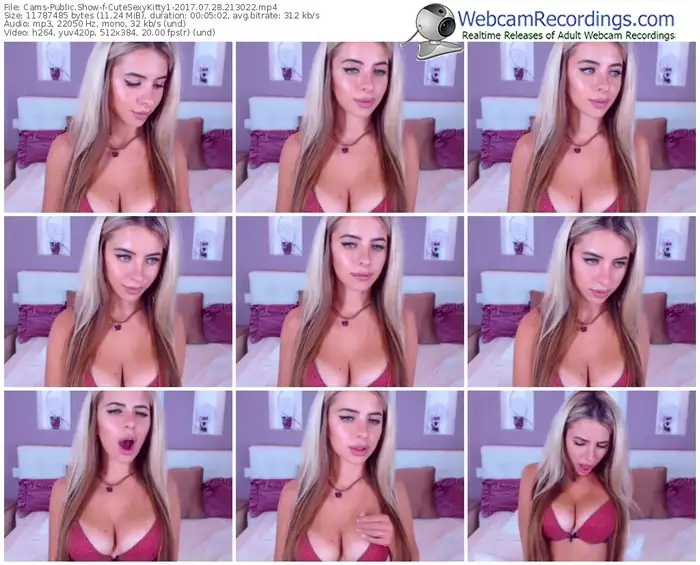 cams-cutesexykitty1-webcam-show-07_28_2017-21_30_22