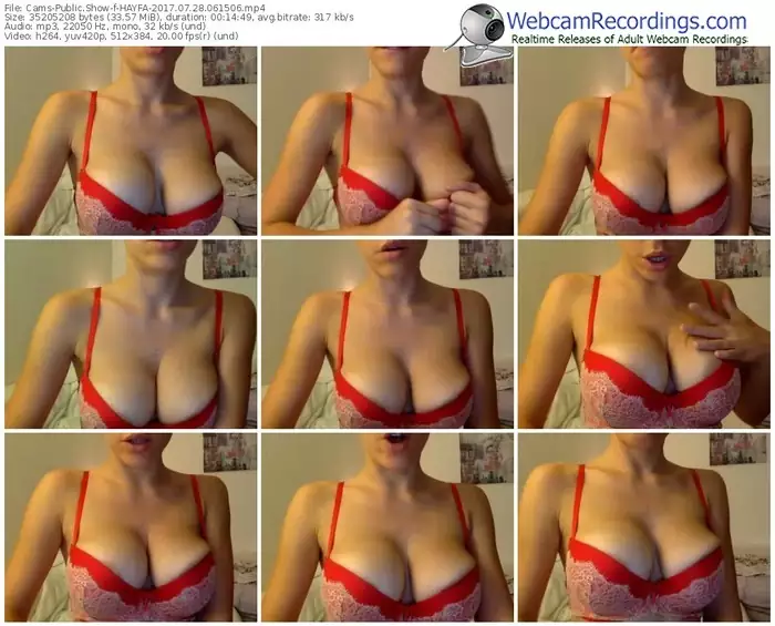 cams-hayfa-webcam-show-07_28_2017-06_15_06