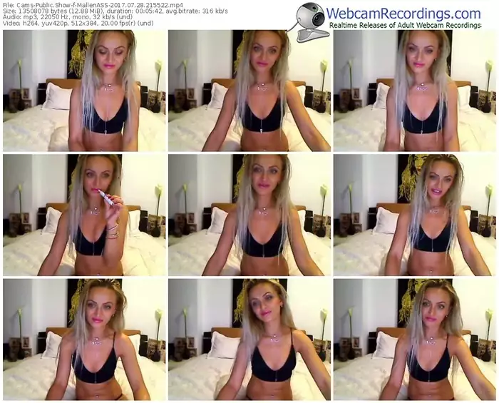 cams-mallenass-webcam-show-07_28_2017-21_55_22