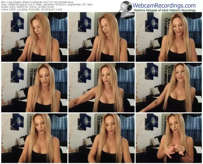cams-catsmith-webcam-show-07_29_2017-16_05_40
