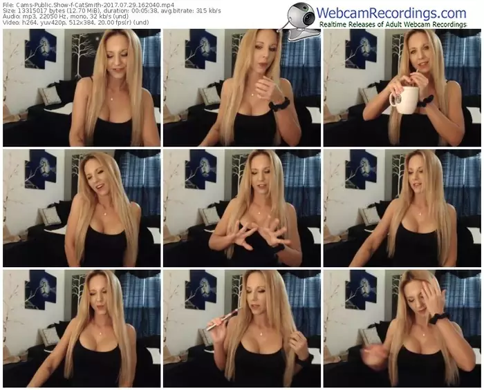 cams-catsmith-webcam-show-07_29_2017-16_20_40