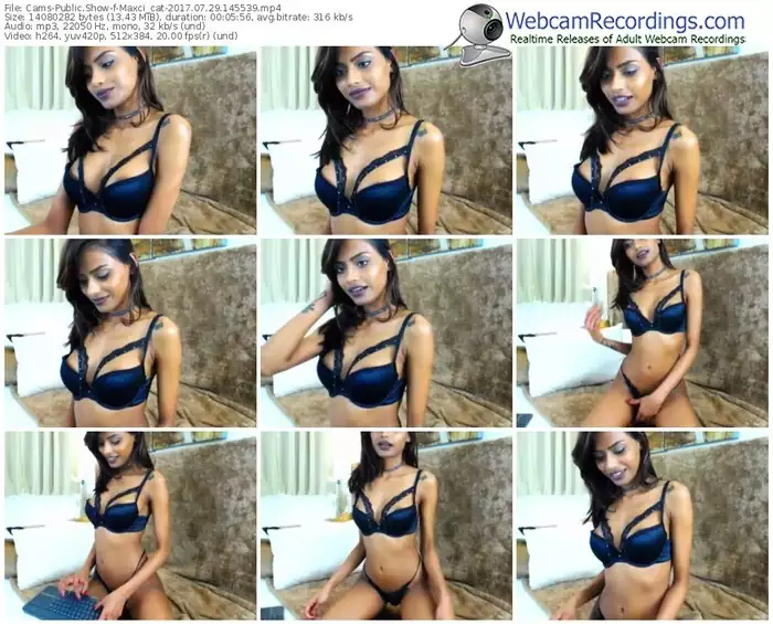 cams-maxci_cat-webcam-show-07_29_2017-14_55_39