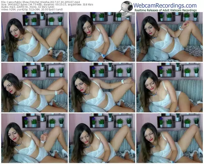 cams-michel_miesha-webcam-show-07_30_2017-20_51_07