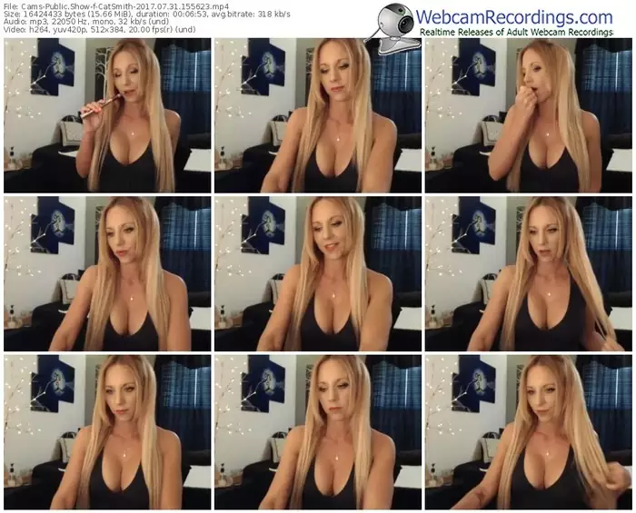 cams-catsmith-webcam-show-07_31_2017-15_56_23