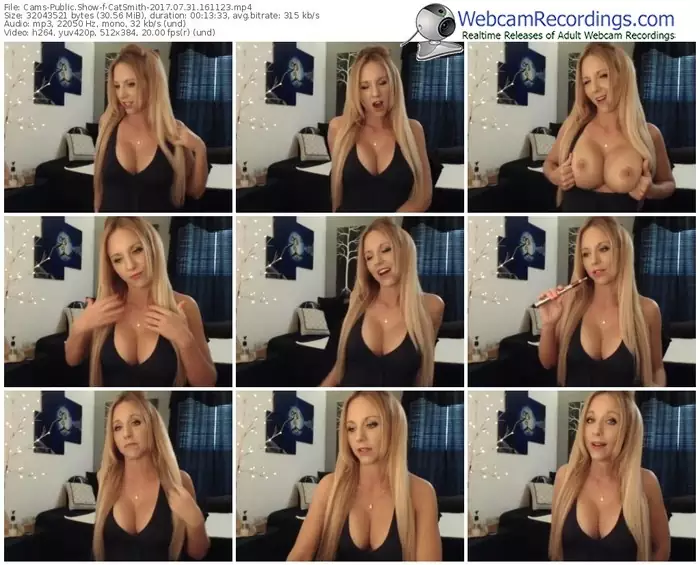 cams-catsmith-webcam-show-07_31_2017-16_11_23