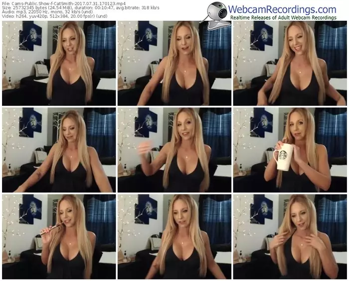 cams-catsmith-webcam-show-07_31_2017-17_01_23