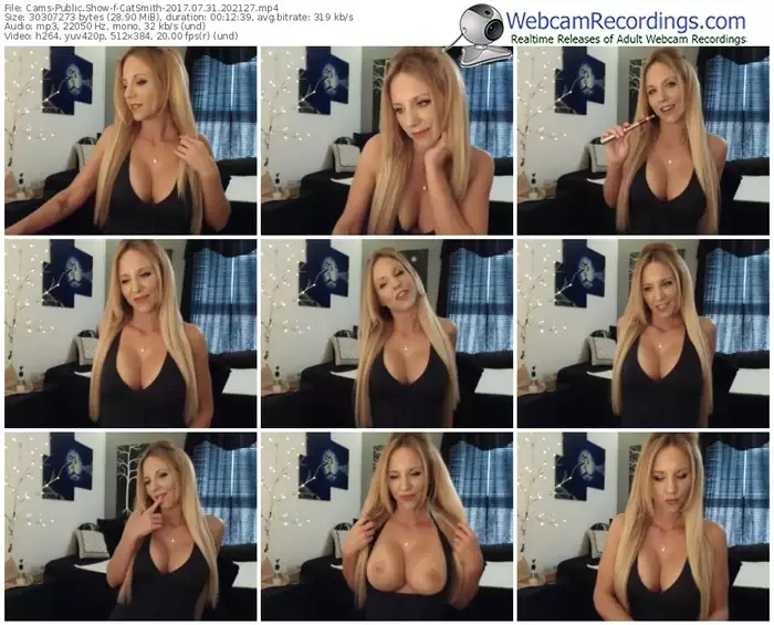 cams-catsmith-webcam-show-07_31_2017-20_21_27