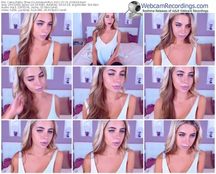 cams-cutesexykitty1-webcam-show-07_31_2017-23_26_29