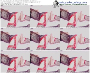 cams-laadys_million-webcam-show-07_31_2017-11_16_20