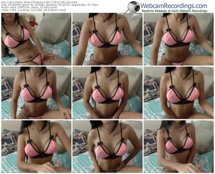 cams-tinajonur-webcam-show-08_01_2017-06_11_34