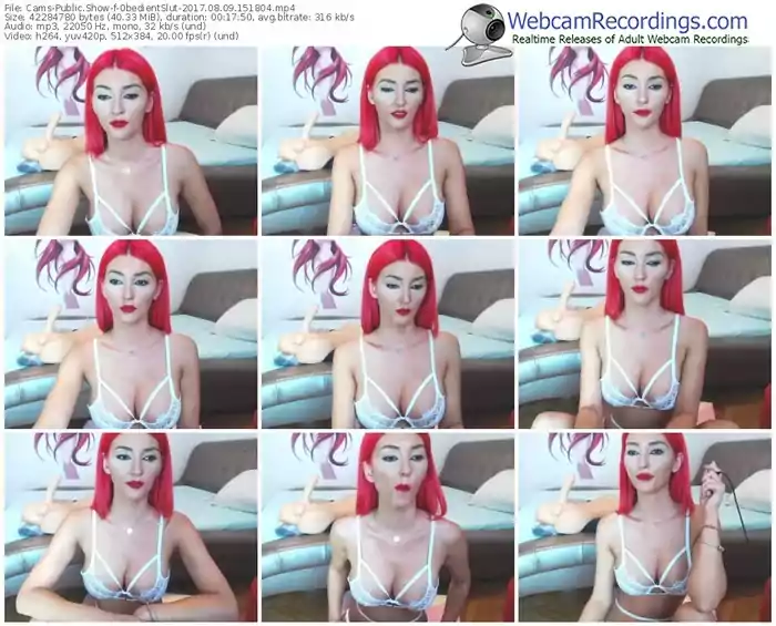 cams-0bedientslut-webcam-show-08_09_2017-15_18_04