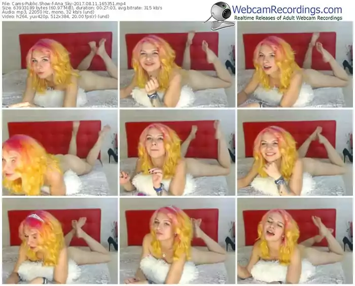 cams-ana_sky-webcam-show-08_11_2017-16_53_51