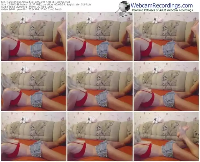 cams-lil_kitty-webcam-show-08_11_2017-17_03_51