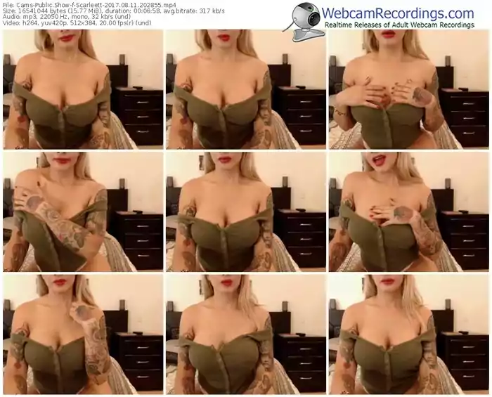 cams-scarleett-webcam-show-08_11_2017-20_28_55