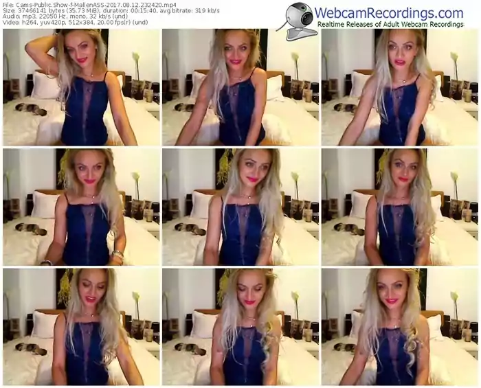 cams-mallenass-webcam-show-08_12_2017-23_24_20