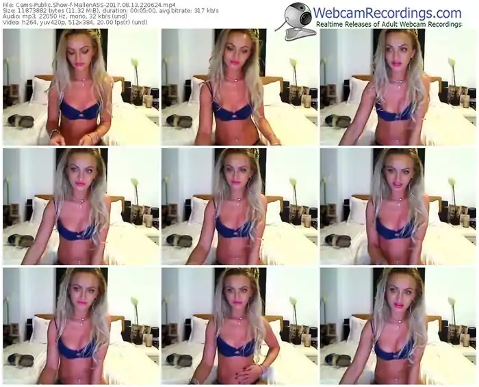 cams-mallenass-webcam-show-08_13_2017-22_06_24