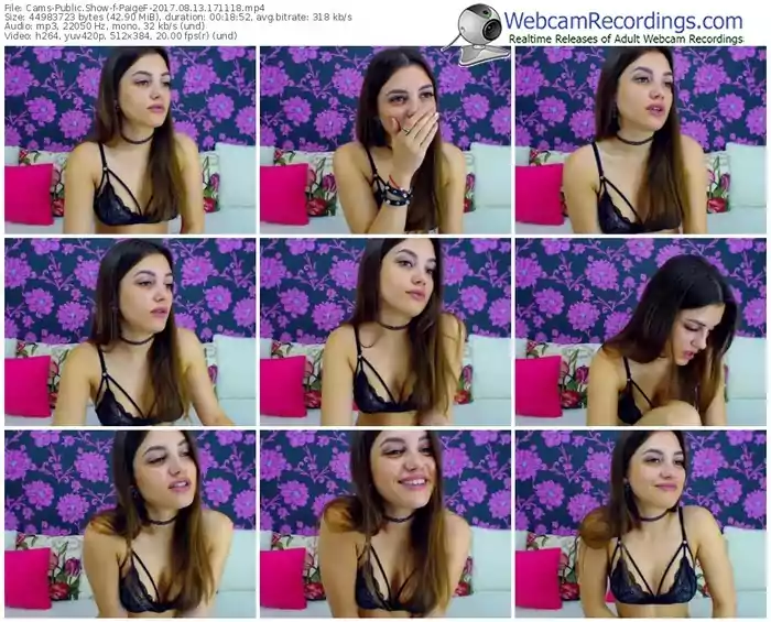 cams-paigef-webcam-show-08_13_2017-17_11_18