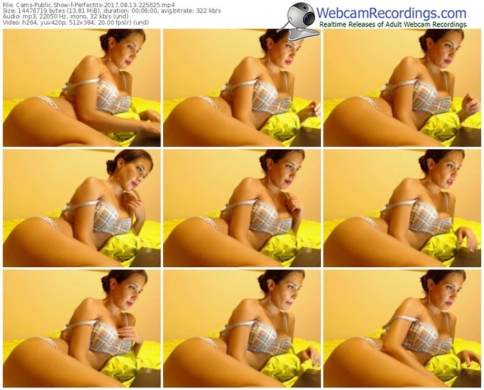 cams-perfectits-webcam-show-08_13_2017-22_56_25