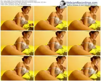 cams-perfectits-webcam-show-08_13_2017-23_06_26