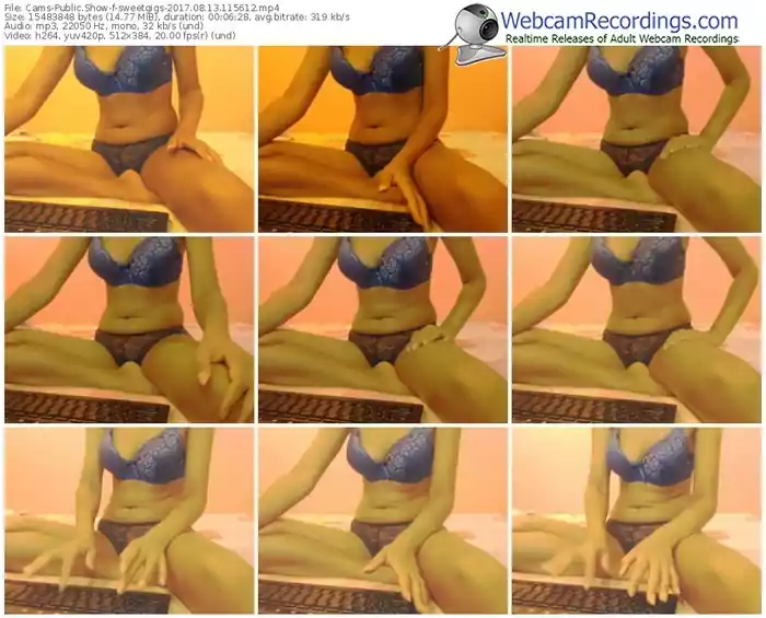 cams-sweetgigs-webcam-show-08_13_2017-11_56_12