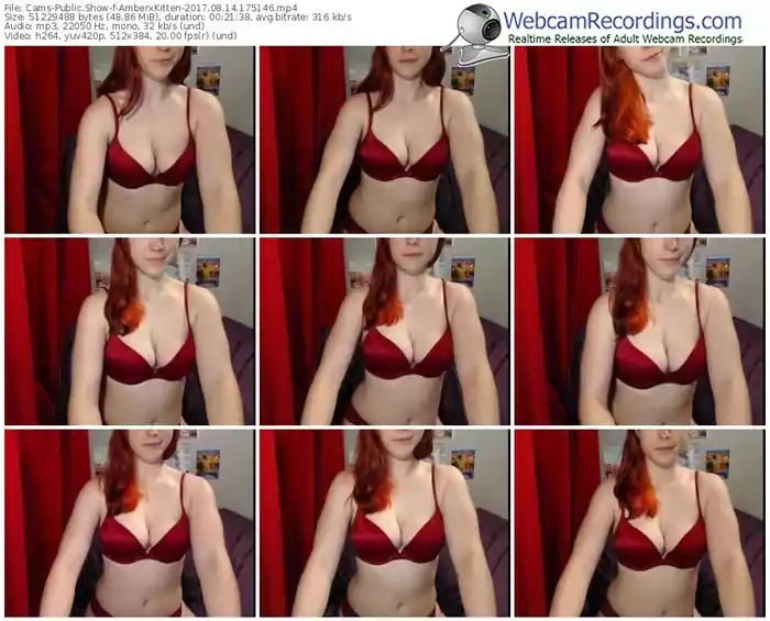 cams-amberxkitten-webcam-show-08_14_2017-17_51_46