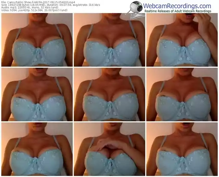 cams-hayfa-webcam-show-08_15_2017-05_42_00