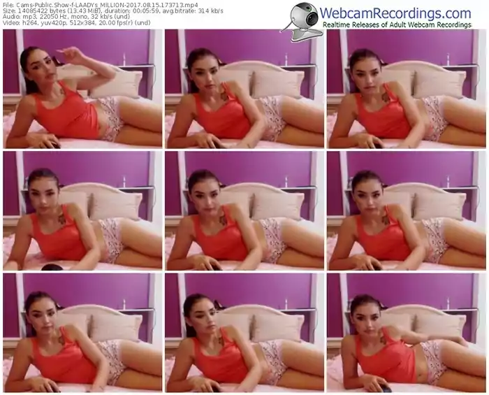 cams-laadys_million-webcam-show-08_15_2017-17_37_13