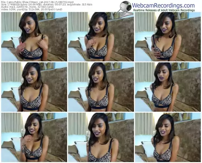 cams-maxci_cat-webcam-show-08_15_2017-08_07_02