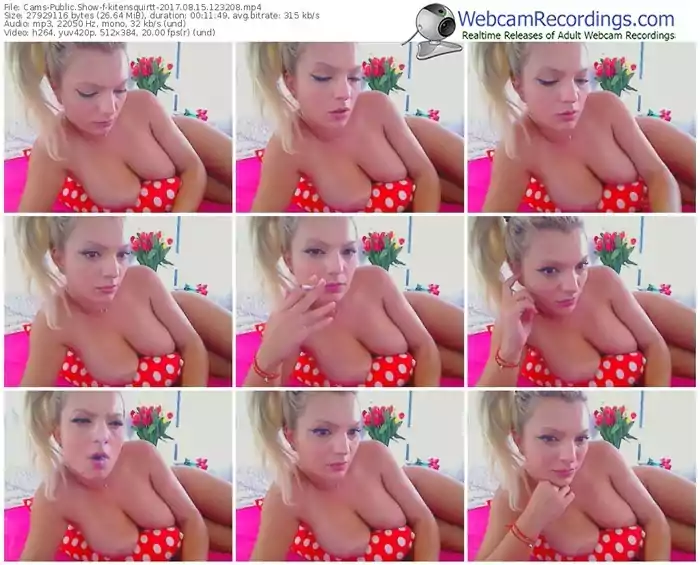 cams-kitensquirtt-webcam-show-08_15_2017-12_32_08