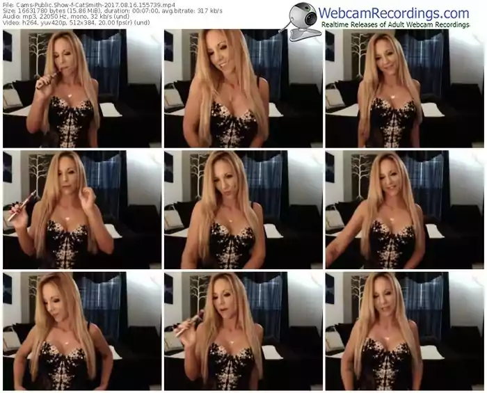 cams-catsmith-webcam-show-08_16_2017-15_57_39