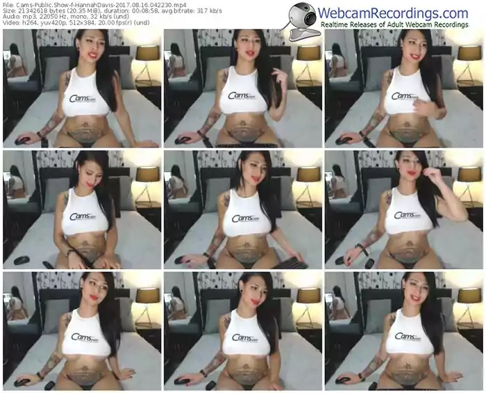 cams-hannahdavis-webcam-show-08_16_2017-04_22_30