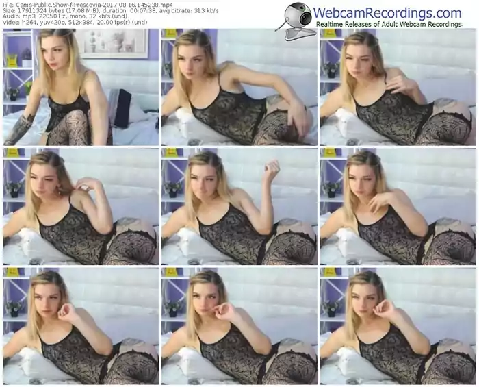 cams-prescovia-webcam-show-08_16_2017-14_52_38