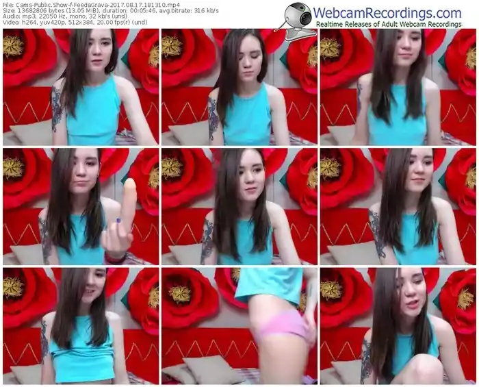 cams-feedagrava-webcam-show-08_17_2017-18_13_10