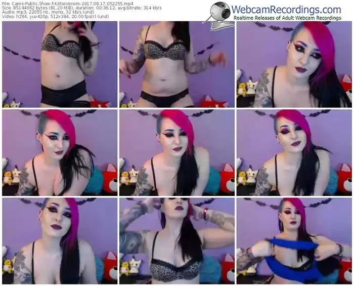 cams-kittievenom-webcam-show-08_17_2017-05_22_55