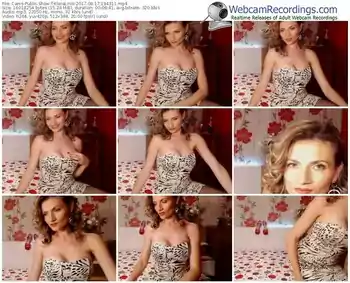 cams-klaralinik-webcam-show-08_17_2017-19_43_11