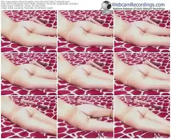 cams-laadys_million-webcam-show-08_17_2017-08_22_58