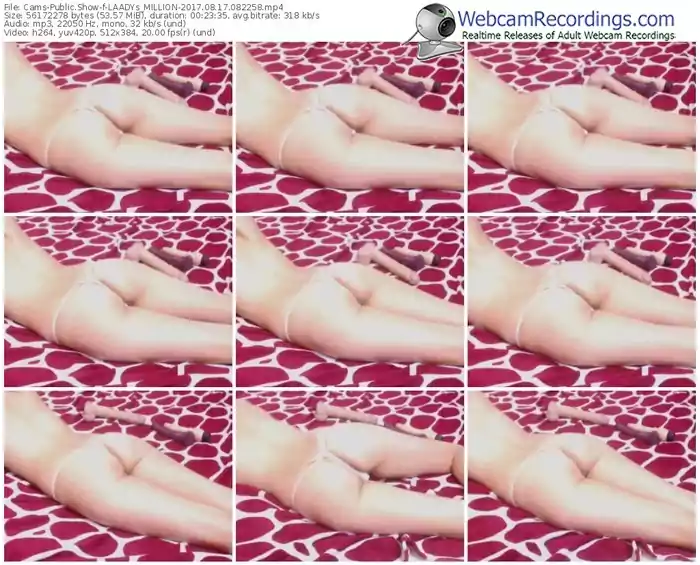 cams-laadys_million-webcam-show-08_17_2017-08_22_58
