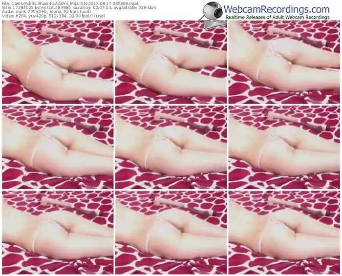 cams-laadys_million-webcam-show-08_17_2017-08_53_09