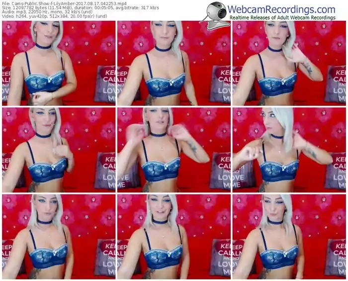 cams-lilyamber-webcam-show-08_17_2017-04_22_53