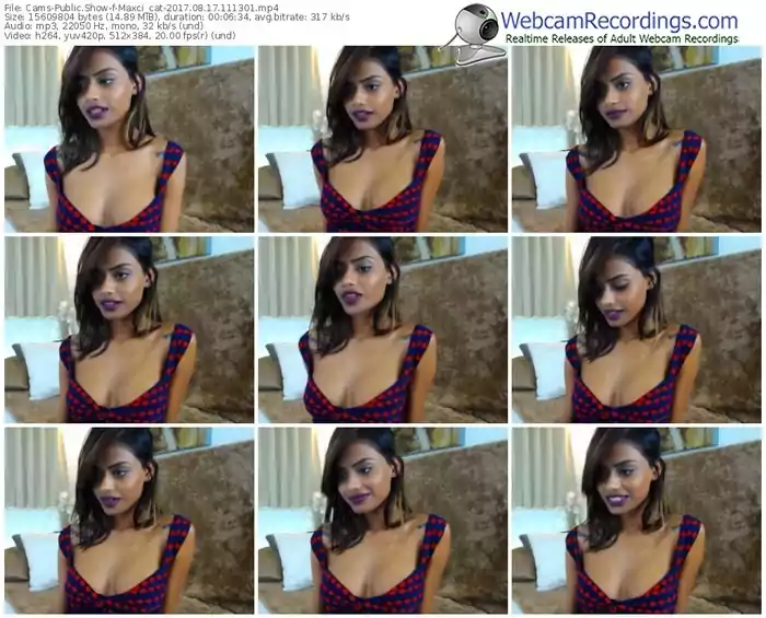 cams-maxci_cat-webcam-show-08_17_2017-11_13_01