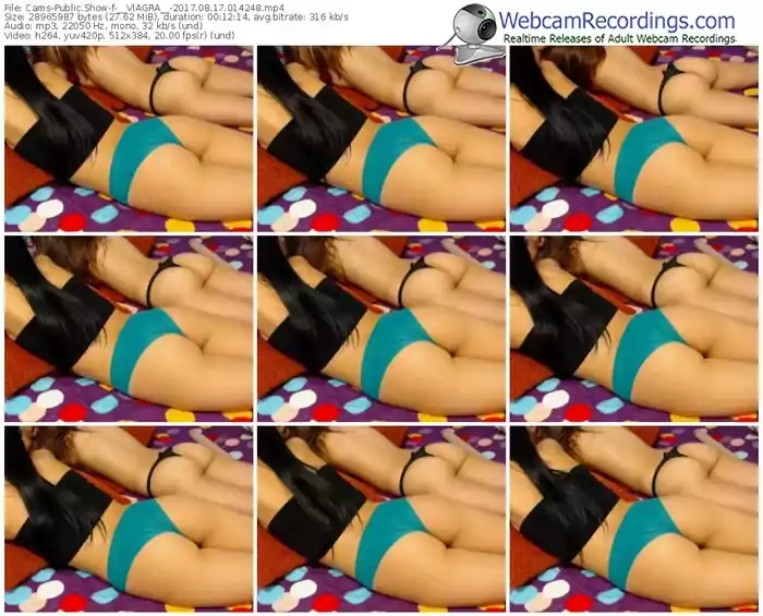 cams-__vlagra__-webcam-show-08_17_2017-01_42_48