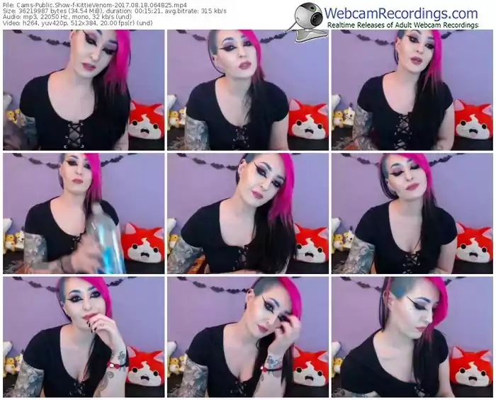 cams-kittievenom-webcam-show-08_18_2017-06_48_25