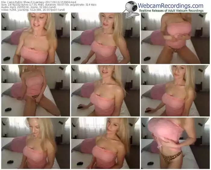 cams-1leesexy-webcam-show-08_19_2017-15_39_04