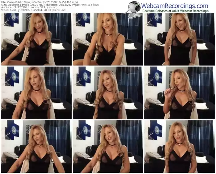 cams-catsmith-webcam-show-08_19_2017-15_24_03