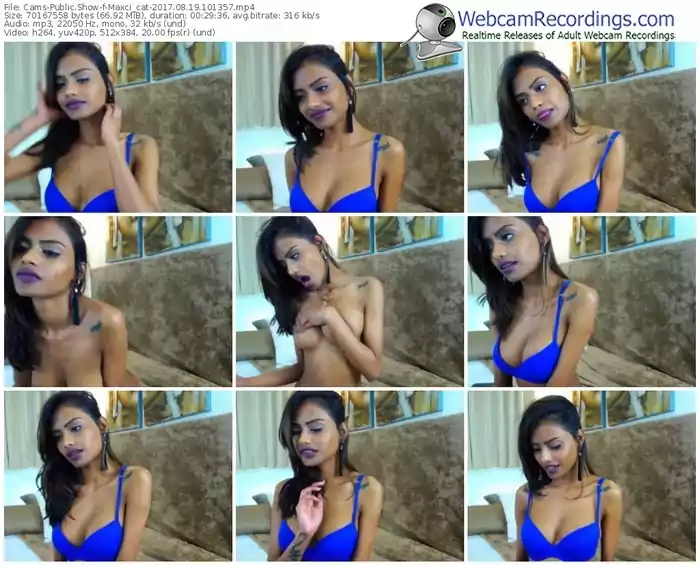 cams-maxci_cat-webcam-show-08_19_2017-10_13_57